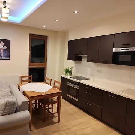 Golden Apartmet City Center, Private Parking Place Appartamento Danzica